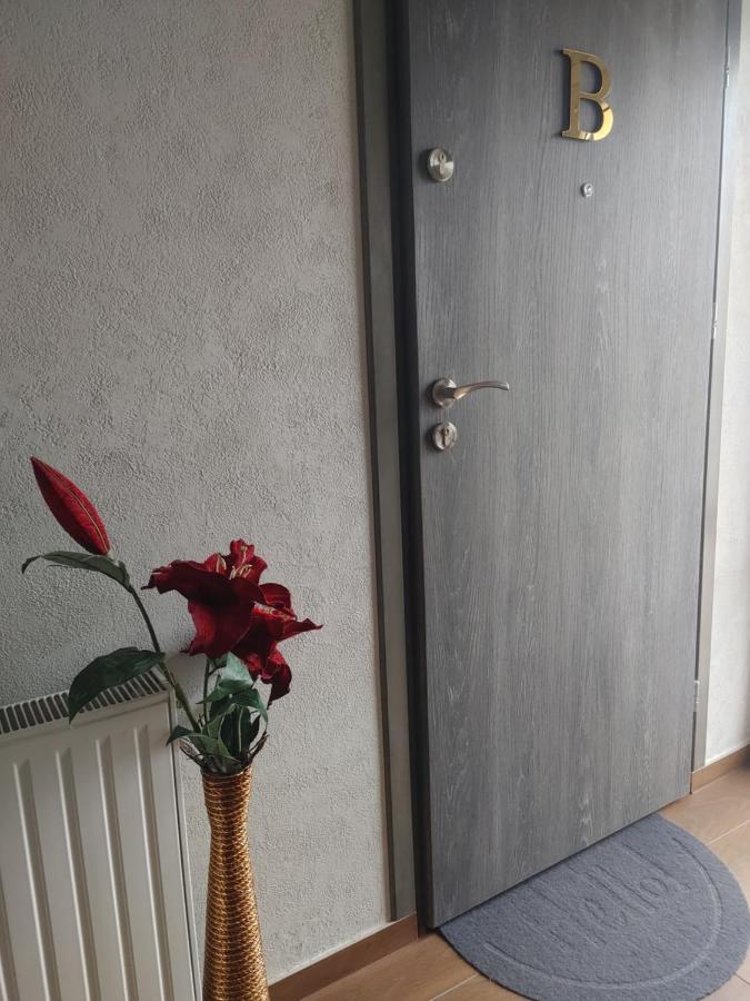 Apartamenty U Zofii Iława Eksteriør billede